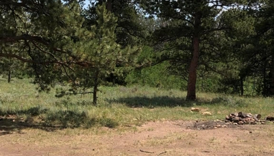 Forest Road 707 Camping Spot Medicine Bow National Forest