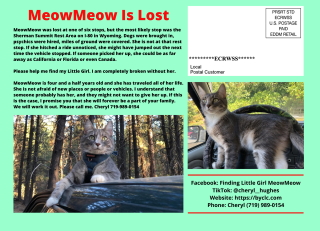 MeowMeow's postcard horizontal