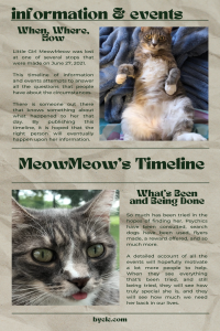 MeowMeow's Information and Event Timeline