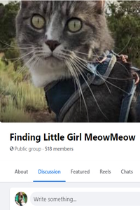 MeowMeow's Facebook Page