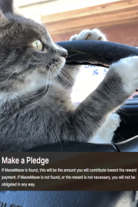 MeowMeow's Pledge Form
