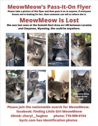 MeowMeow's flyer