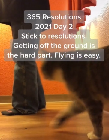 Stick to Resolutions TikTok Video