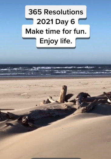 Make Time for Fun TikTok Video